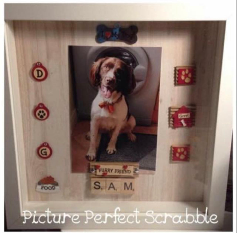 For Pets / Pet Lovers